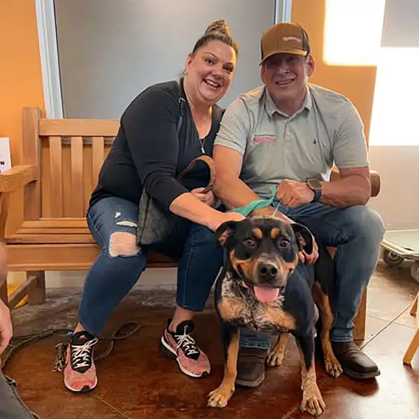 ✨ Giải Mã Giấc Mơ Bị Gãy Răng Cửa: Điềm Báo, Ý Nghĩa & Lời Khuyên Hữu Ích 🦷