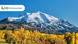 😟 Giải Mã Giấc Mơ Bị Rụng Nhiều Răng: Điềm Lành Hay Dữ? 🦷