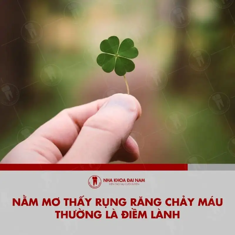 Nằm Mơ Thấy Gãy Răng Hàm Trên: Điềm Báo, Giải Mã & Con Số May Mắn