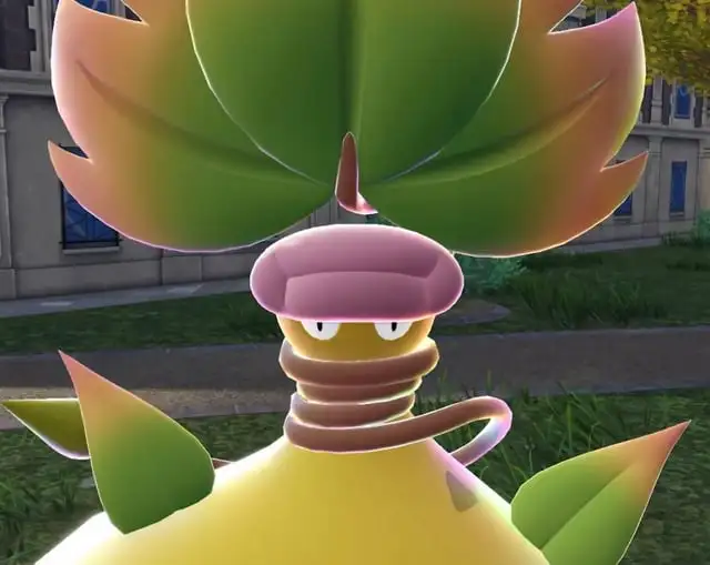 rụng răng đánh số mấy