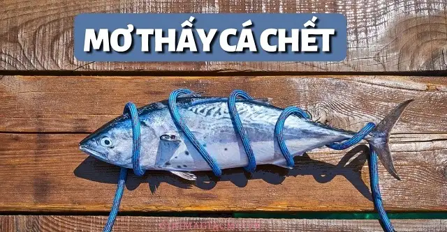 nằm mơ thấy